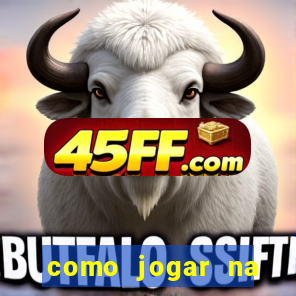 como jogar na loteca pela internet